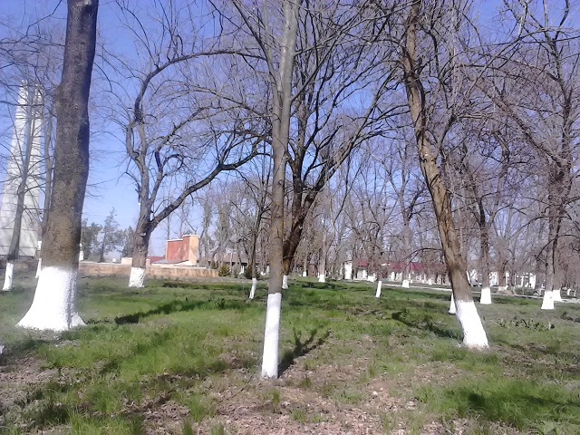 IMG 20180410 133330