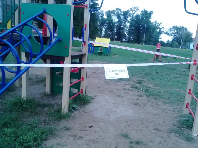 IMG 20170619 113910