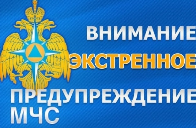 Mchs