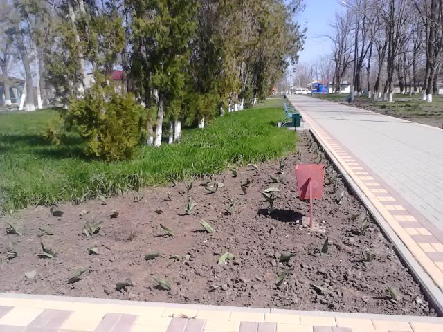 IMG 20180410 133620