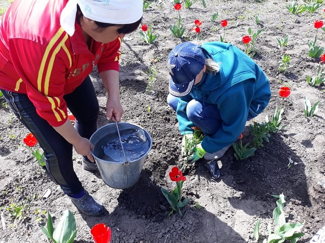 IMG 20190422 WA0030