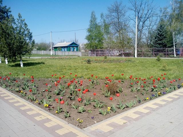 IMG 20190423 101848