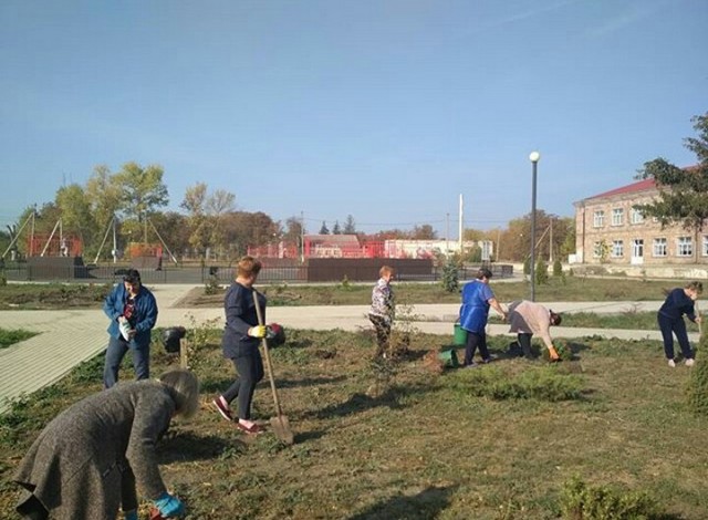 IMG 20201012 213537 384