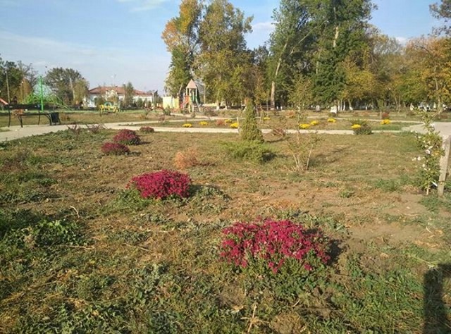 IMG 20201012 213607 006