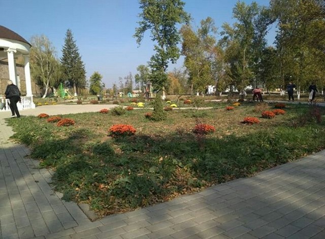 IMG 20201012 213756 891