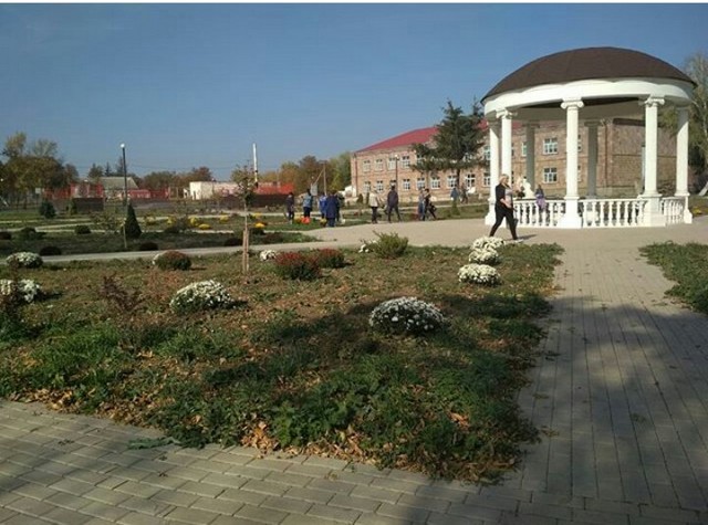 IMG 20201012 213812 022