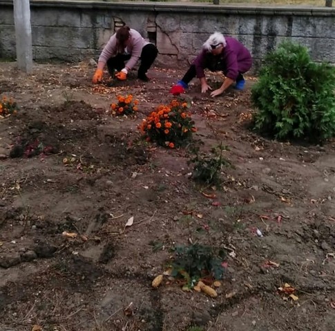 IMG 20201028 104840 709