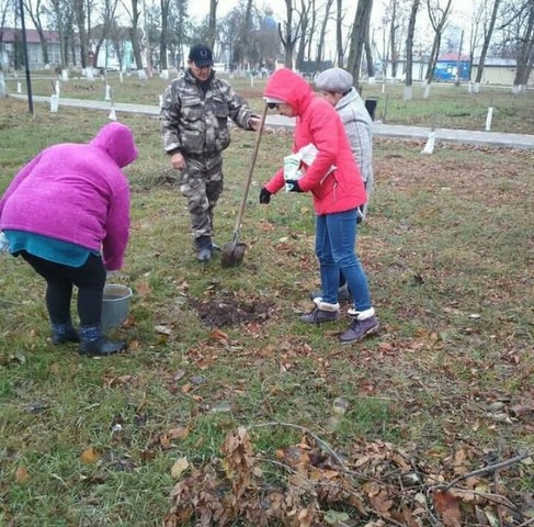 IMG 20201228 131218 682