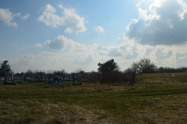 DSC 0441