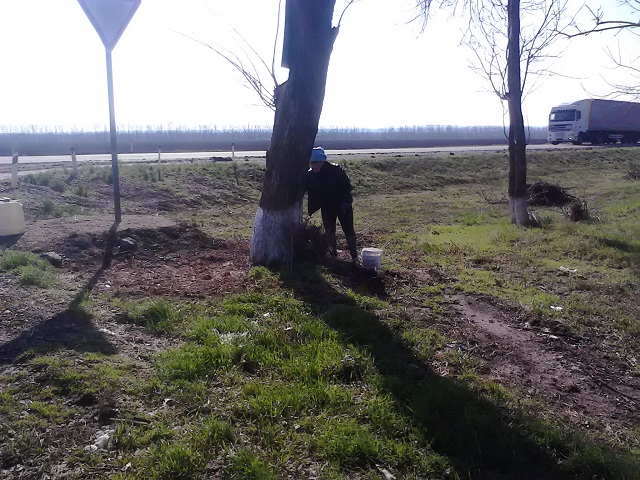 IMG 20180404 091001