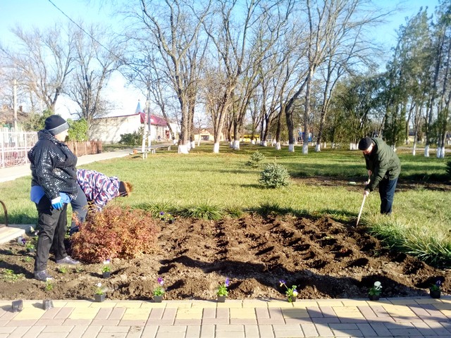 IMG 20201113 131732