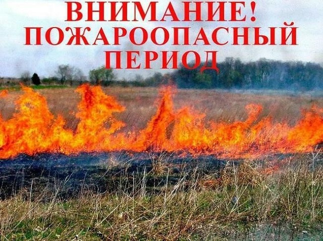 pozhar period 2022 04 01
