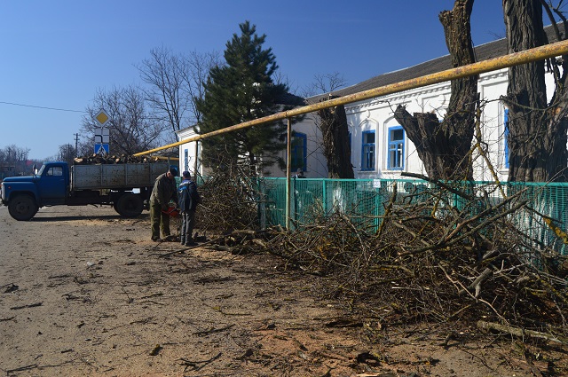 spil derevjev2017 03 03 001