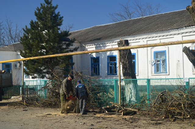 spil derevjev2017 03 03 002