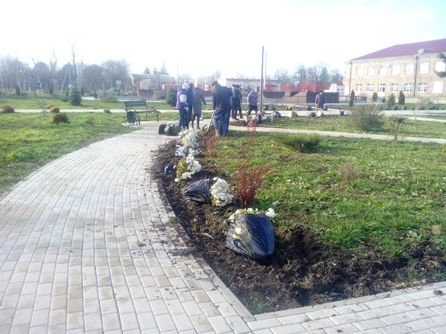 IMG 20211122 134332