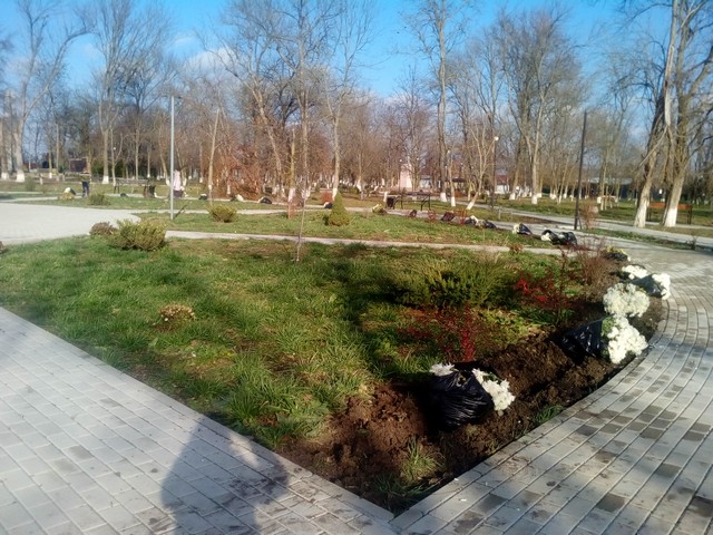 IMG 20211122 134359